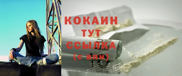 ГАЛЛЮЦИНОГЕННЫЕ ГРИБЫ Рославль
