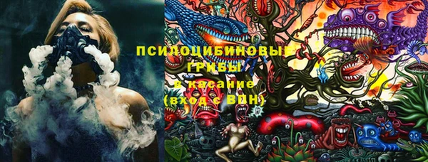 дмт Аркадак