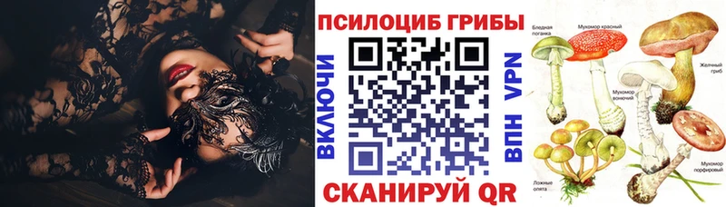 Галлюциногенные грибы Psilocybe сайты даркнета официальный сайт Макушино